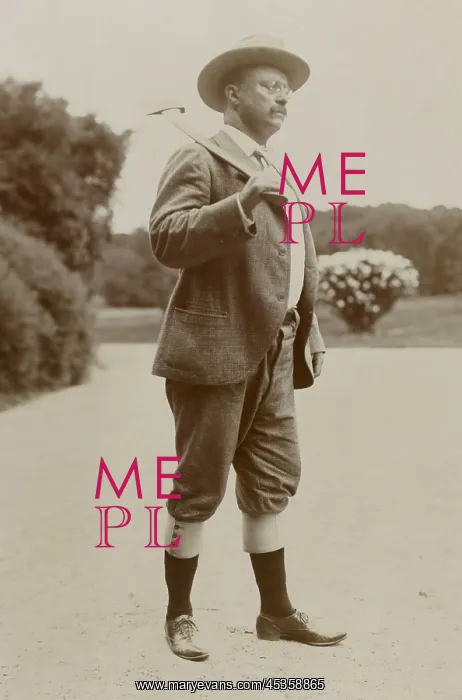 : Theodore Roosevelt as a woodchopper, wearing knickerbockers : Theodore Roosevelt as a woodchopper, wearing knickerbockers