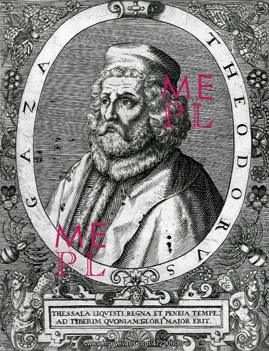  : THEODORUS GAZA