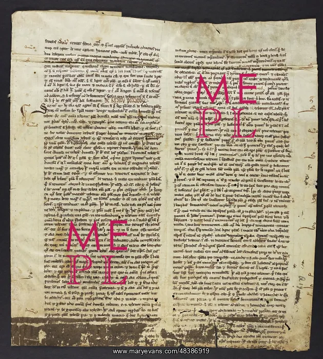 : Theological Text (Fragment) : Theological Text (Fragment)