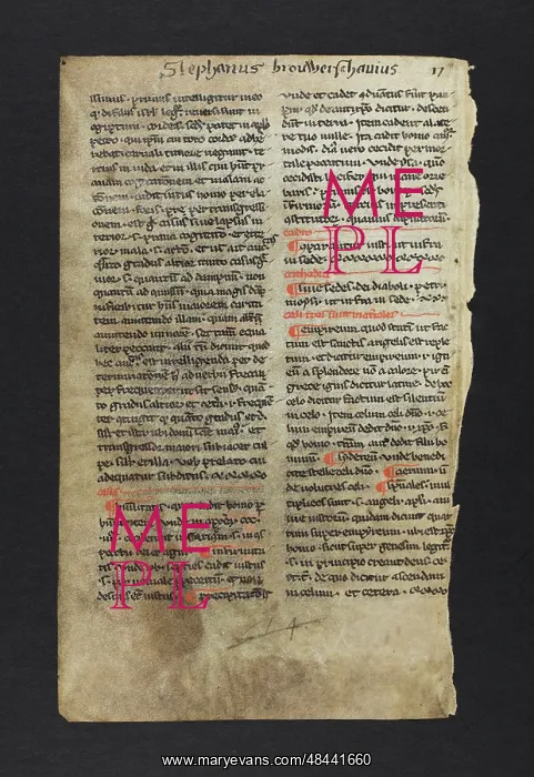 : Theological Text (Fragment) : Theological Text (Fragment)