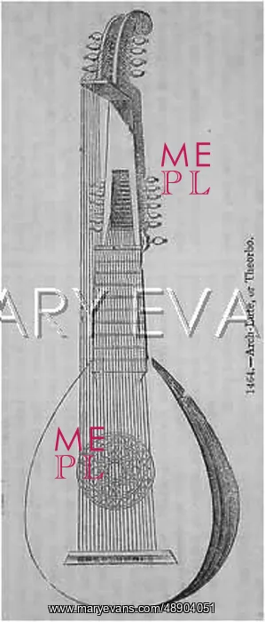 : THEORBO ON ITS OWN : THEORBO ON ITS OWN