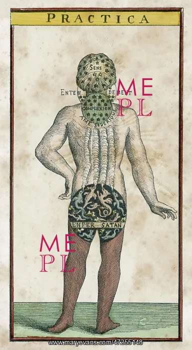 : THEOSOPHY MAN (BACK) : THEOSOPHY MAN (BACK)