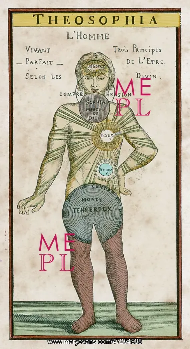 : THEOSOPHY MAN (FRONT) : THEOSOPHY MAN (FRONT)