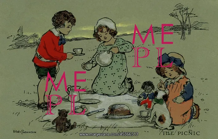  : Ther picnic