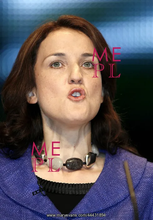 : Theresa Villiers MP : Theresa Villiers MP