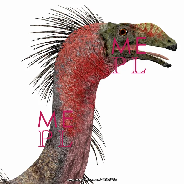 : Therizinosaurus dinosaur head : Therizinosaurus dinosaur head
