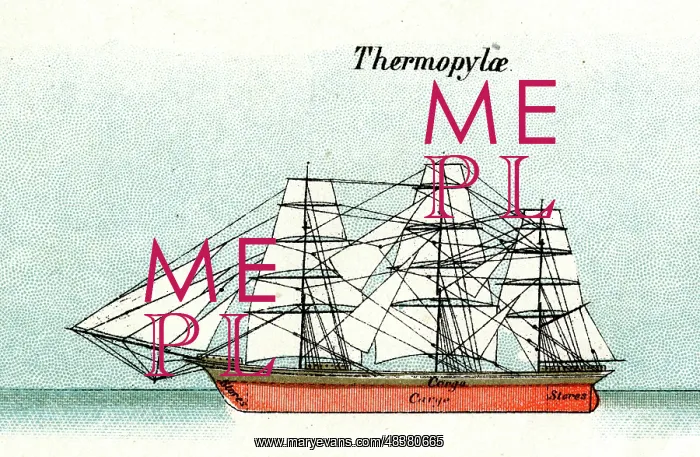  : Thermopylae, cargo ship
