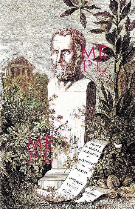  : Therophrastus bust