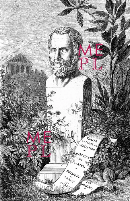  : Therophrastus bust