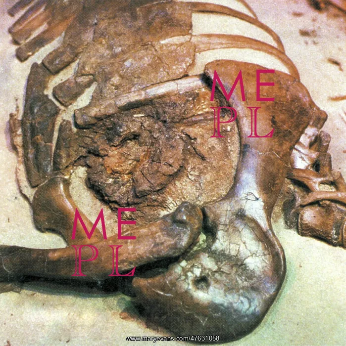 : Thescelosaurus : Thescelosaurus