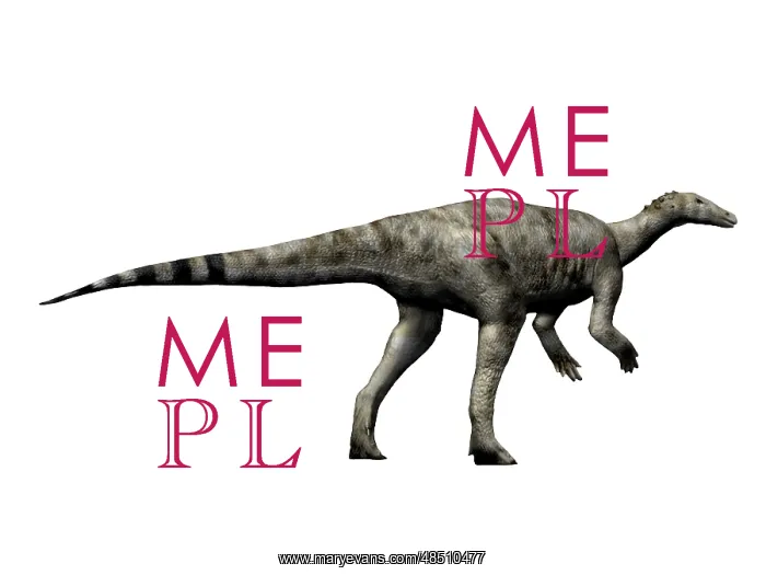  : Thescelosaurus dinosaur