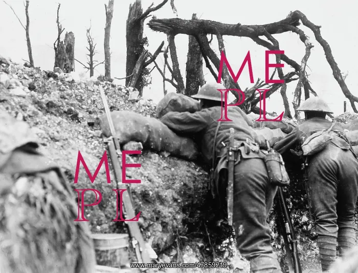 : Thiepval 1916
