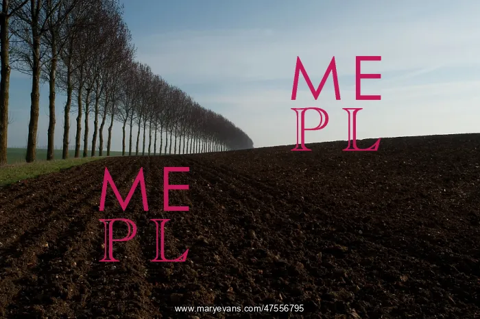 : Thiepval, Somme : Thiepval, Somme