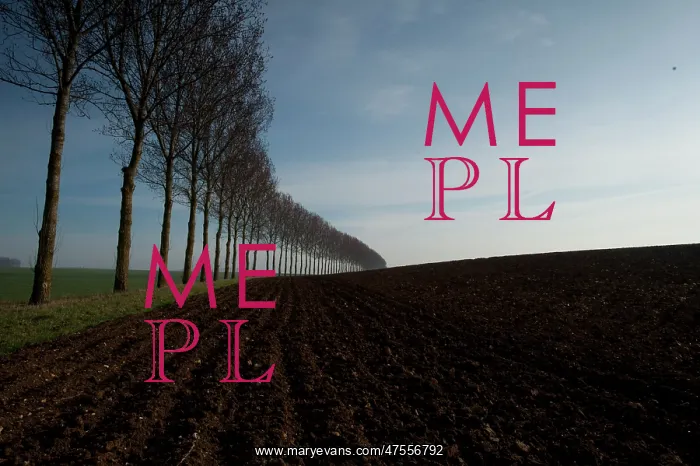 : Thiepval - Somme Battlefield : Thiepval - Somme Battlefield