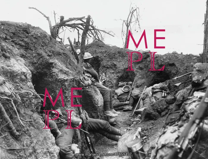 : Thiepval Wood 1916 : Thiepval Wood 1916