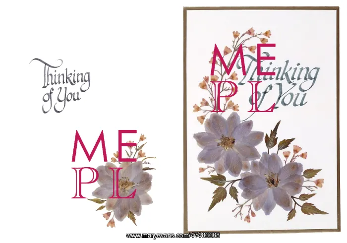 : Thinking of You ' Larkspur and Heuchera : Thinking of You ' Larkspur and Heuchera