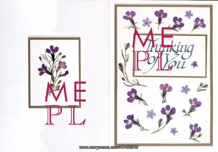 : Thinking of You ' Lobelia & Forget-me-nots : Thinking of You ' Lobelia & Forget-me-nots