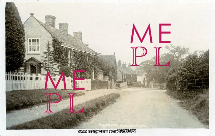 : Thirsk Bank, Coxwold, Yorkshire : Thirsk Bank, Coxwold, Yorkshire