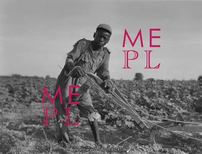 : Thirteen-year old African American sharecropper ? : Thirteen-year old African American sharecropper ?