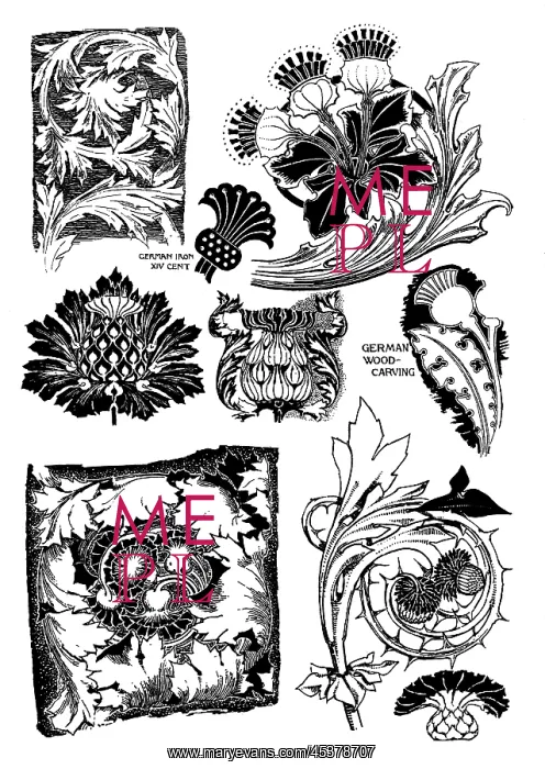 : Thistle. Studies in plant form with suggestions for their application to design : Thistle. Studies in plant form with suggestions for their application to design