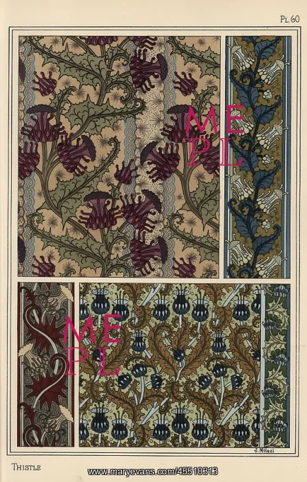 : Thistle in art nouveau patterns : Thistle in art nouveau patterns