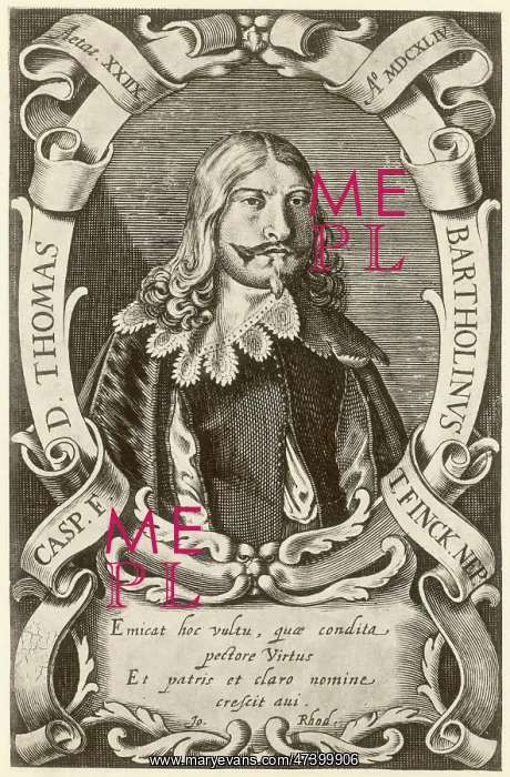 : THOMAS BARTHOLIN : THOMAS BARTHOLIN