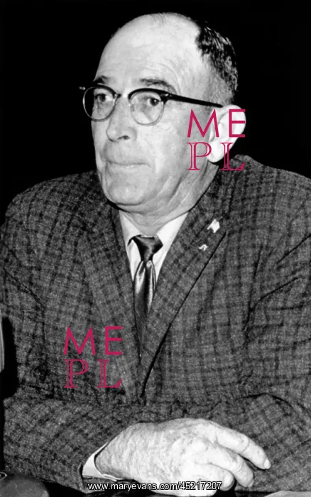 : Thomas C. Brock under questioning by the ? : Thomas C. Brock under questioning by the ?