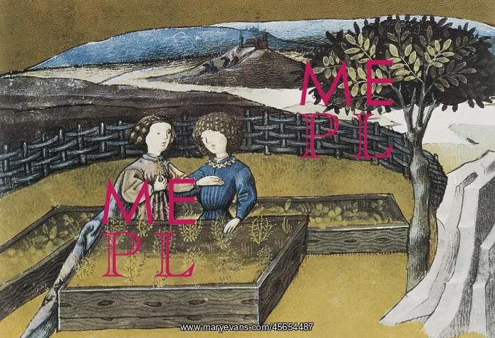 : THOMAS of Cantimpre (1201-1276). Codex Granatensis: : THOMAS of Cantimpre (1201-1276). Codex Granatensis: