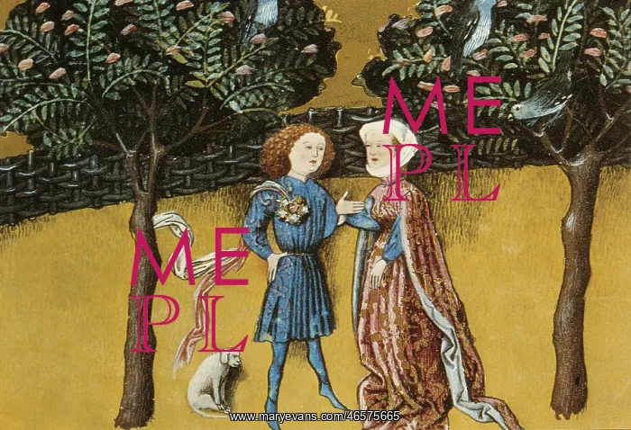 : THOMAS of Cantimpre (1201-1276). Codex Granatensis: : THOMAS of Cantimpre (1201-1276). Codex Granatensis: