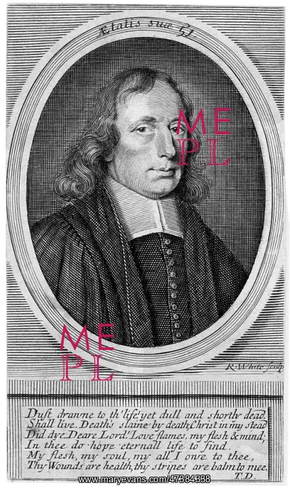 : THOMAS DOOLITTLE - 2 : THOMAS DOOLITTLE - 2