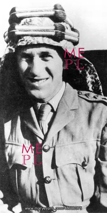 : Thomas Edward Lawrence, Lawrence of Arabia : Thomas Edward Lawrence, Lawrence of Arabia