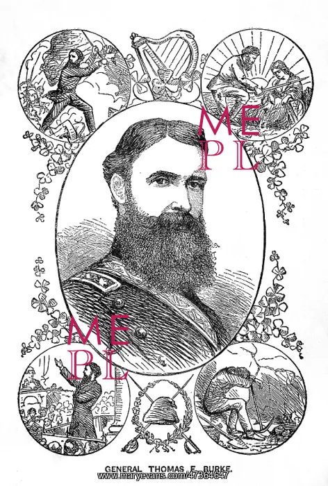 : THOMAS F BURKE : THOMAS F BURKE