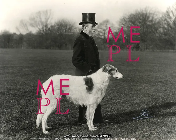 : Thomas Fall with borzoi : Thomas Fall with borzoi