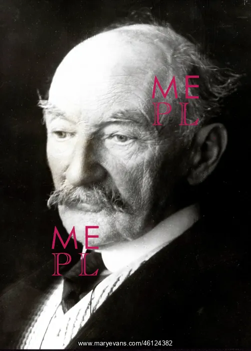 : Thomas Hardy, English author : Thomas Hardy, English author