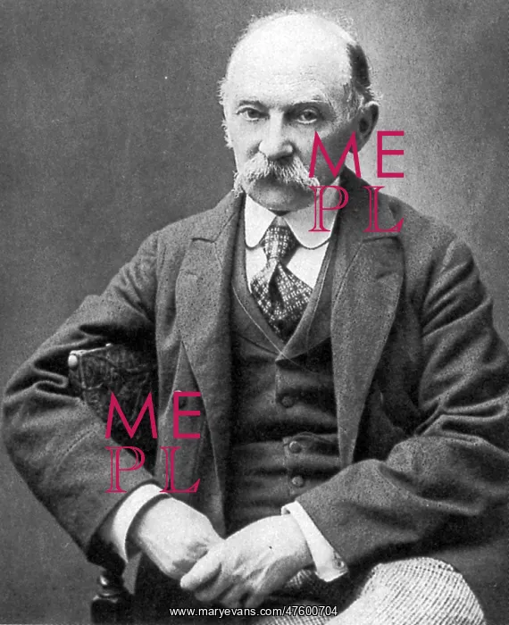 : Thomas Hardy, English Author and Poet : Thomas Hardy, English Author and Poet