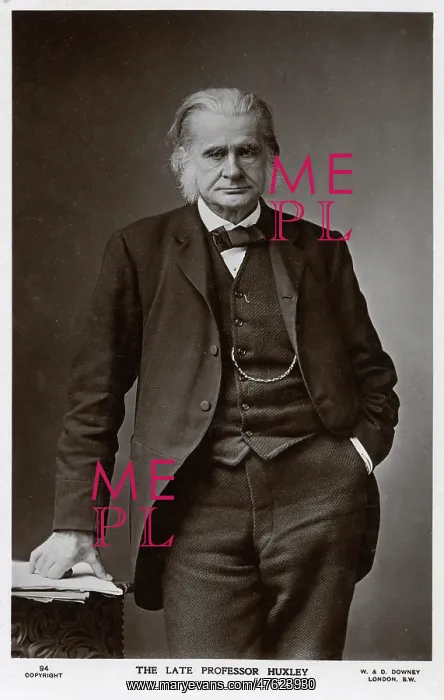 : Thomas Henry Huxley, English scientist : Thomas Henry Huxley, English scientist