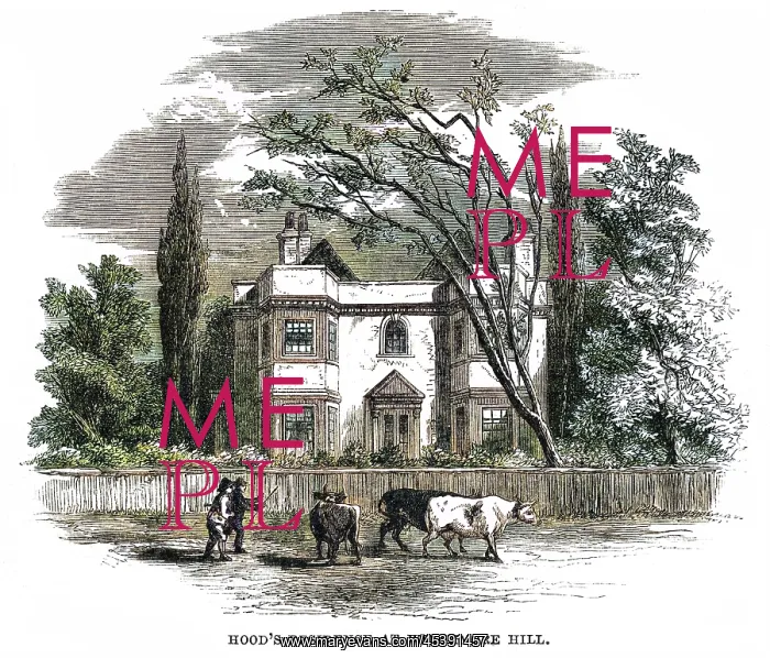 : THOMAS HOOD'S HOME : THOMAS HOOD'S HOME
