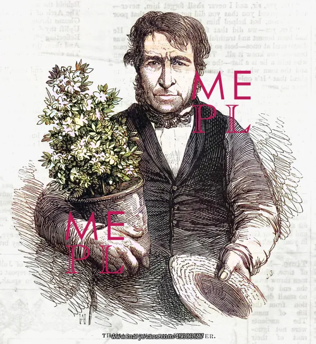 : Thomas Kent, gardener : Thomas Kent, gardener