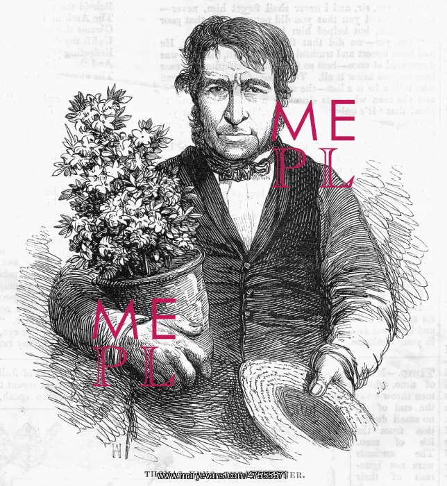: Thomas Kent, gardener : Thomas Kent, gardener