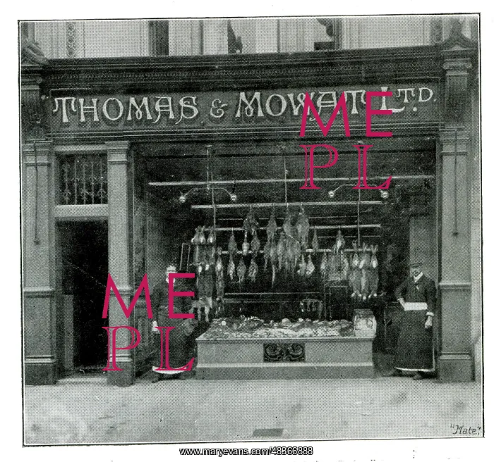 : Thomas & Mowat, Fish and Poultry, High Street, Southampton : Thomas & Mowat, Fish and Poultry, High Street, Southampton