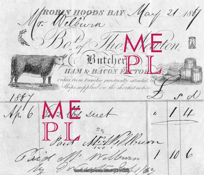  : THOMAS NEWTON, BUTCHER
