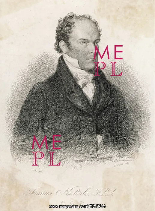  : THOMAS NUTTALL