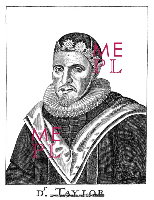 : THOMAS TAYLOR : THOMAS TAYLOR