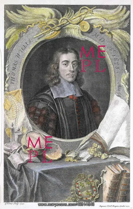 : Thomas Willis (1621-75) English physician. First : Thomas Willis (1621-75) English physician. First