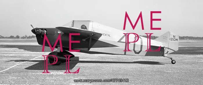 : Thompson Special N1210M Screaming Meany : Thompson Special N1210M Screaming Meany