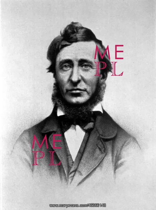 : Thoreau, Henry David, 12.7.1817 - 6.5.1862, US : Thoreau, Henry David, 12.7.1817 - 6.5.1862, US