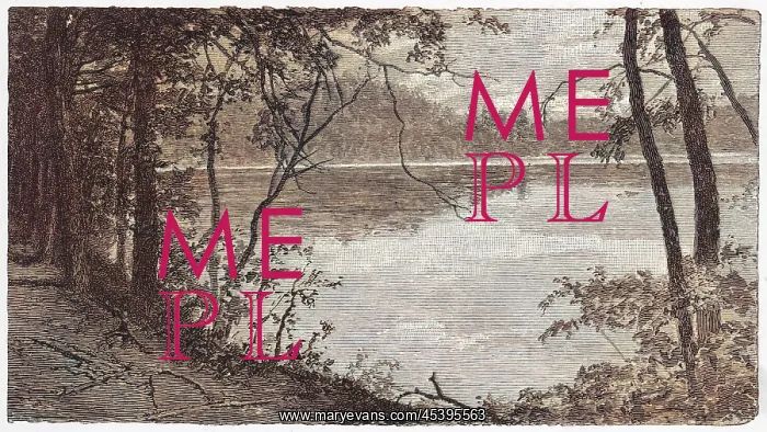 : Thoreau's pond : Thoreau's pond