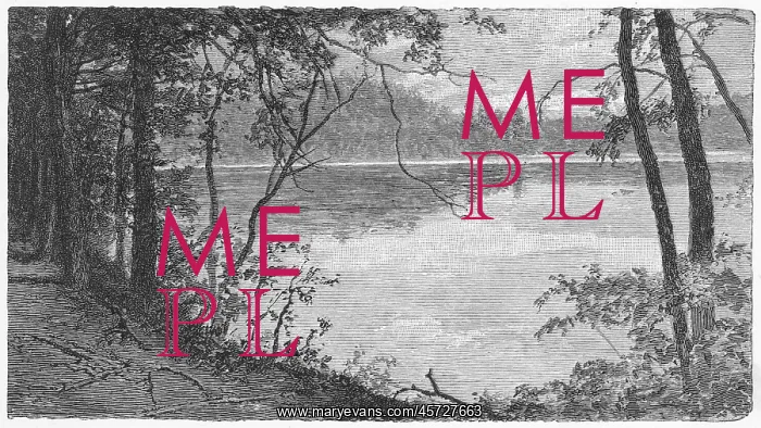 : Thoreau's pond : Thoreau's pond