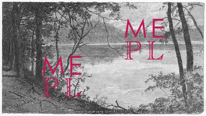 : Thoreau's pond : Thoreau's pond
