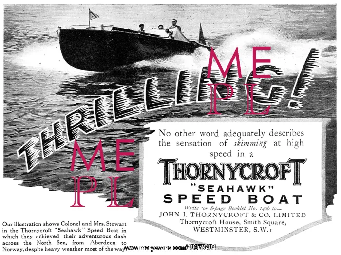 : Thornycroft Seahawk Speed Boat 1929 Advert : Thornycroft Seahawk Speed Boat 1929 Advert